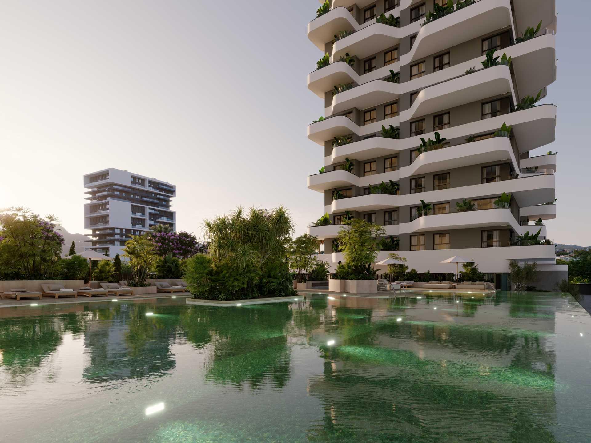 Complex grounds of the penthouse in Playa arenal-bol, Calpe (view 50)