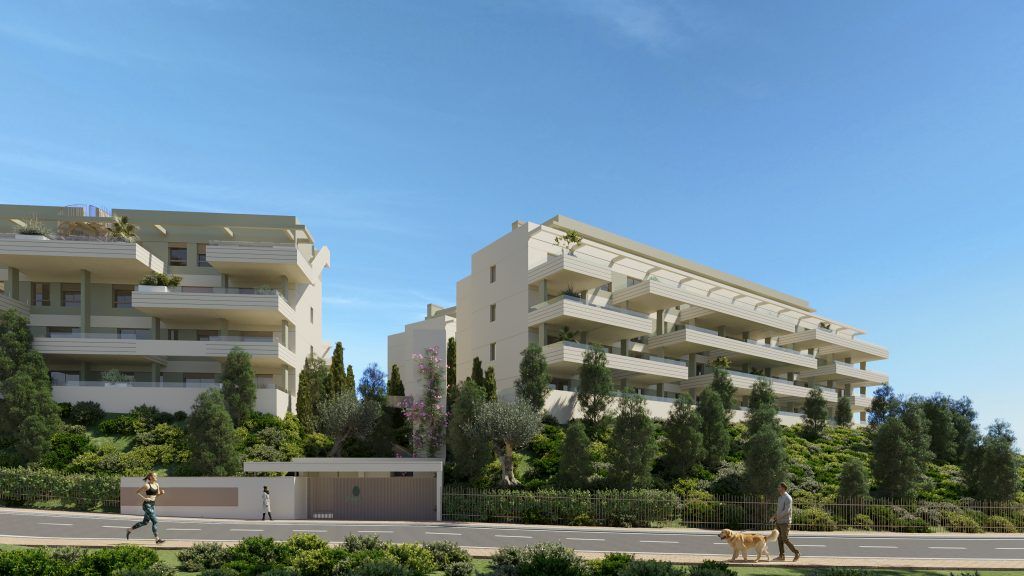 Landscape planting in the communal zones