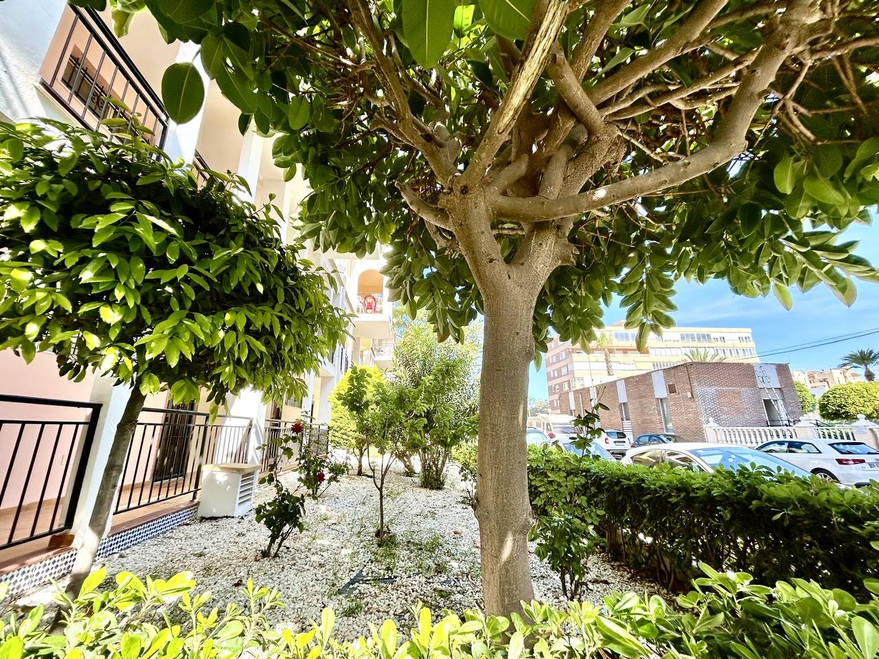 Bathroom fittings in 1-bedroom apartment, Centro, Torrevieja